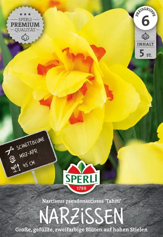 Narzisse Tahiti (5 Stück)