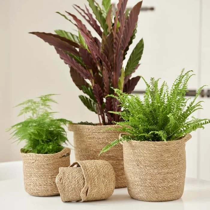 Natural Woven Lined Basket 18cm