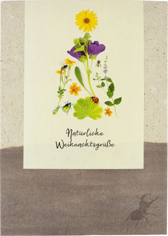 naturkraftwerk Blumen- und Kräutersamenmischung „Natürliche Weihnachtsgrüße“