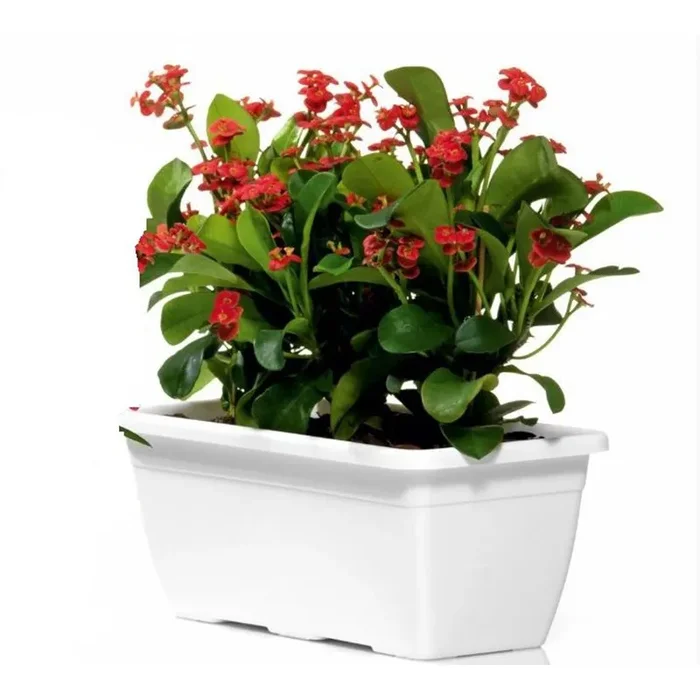 Naxos Box 50cm WEISS