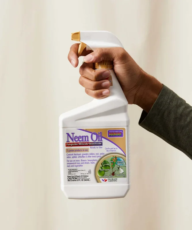 Neem Oil