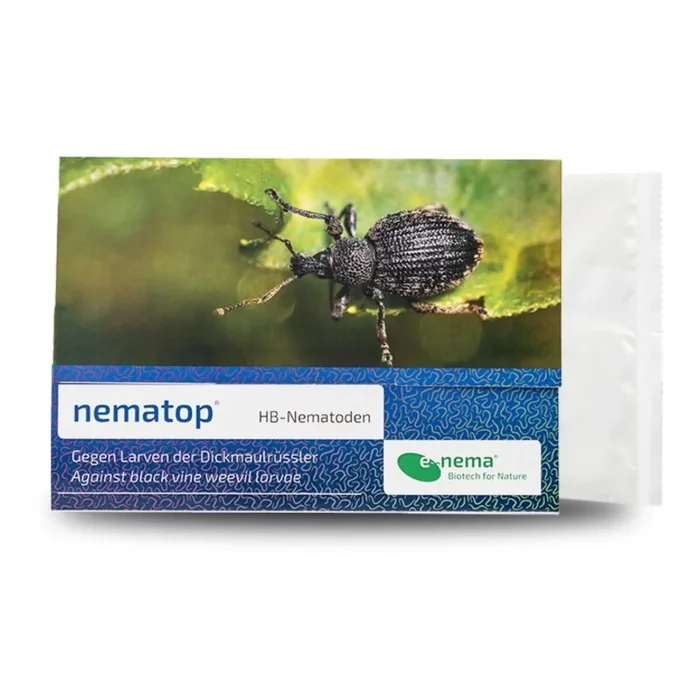 NemaTop HB Nematoden zur Bekämpfung des Dickmaulrüsslers 50 Mio für 100qm