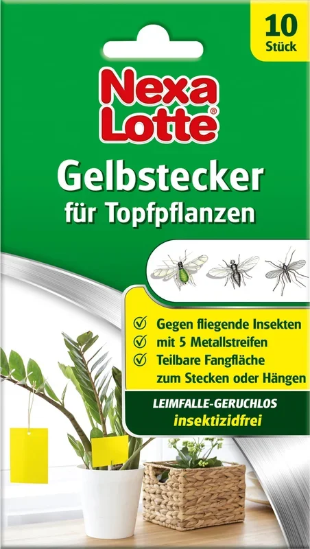 NexaLotte Gelbstecker, 10 Stück