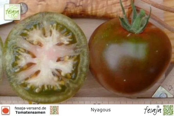 Nyagous · Tomaten · Samen