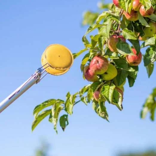 ObstpflückerPreva