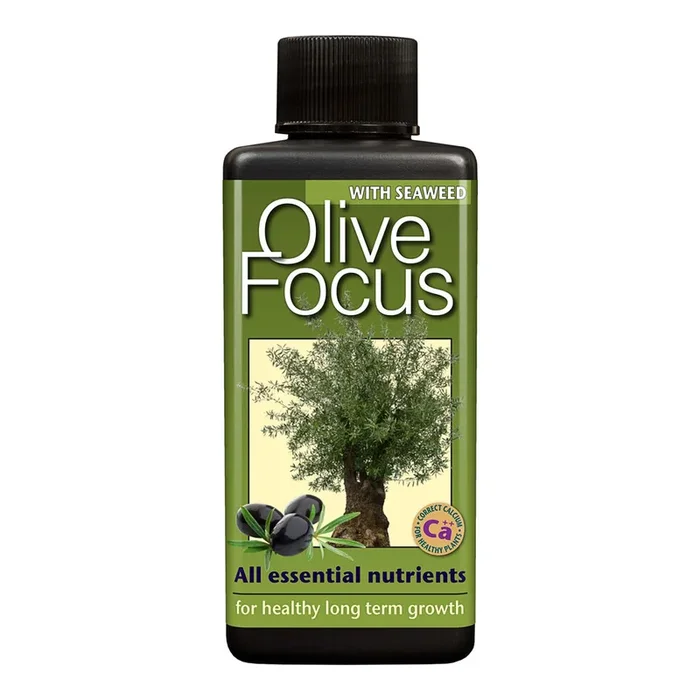 Olive Focus – Plant Nutrition