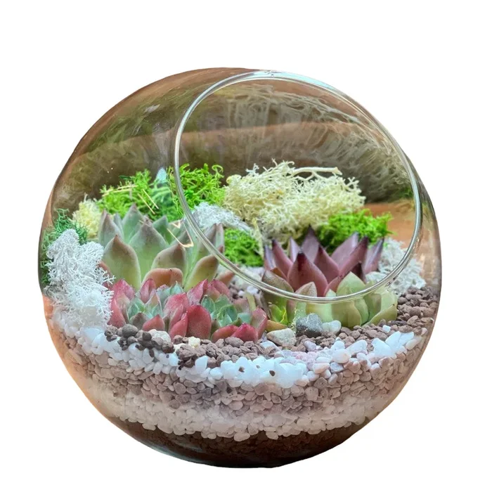 Open Globe Terrarium
