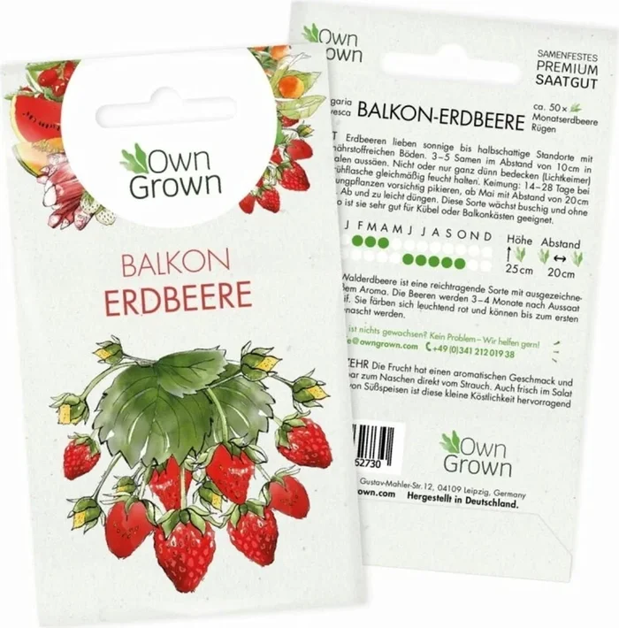 Own Grown Saatgut „Balkonerdbeere“