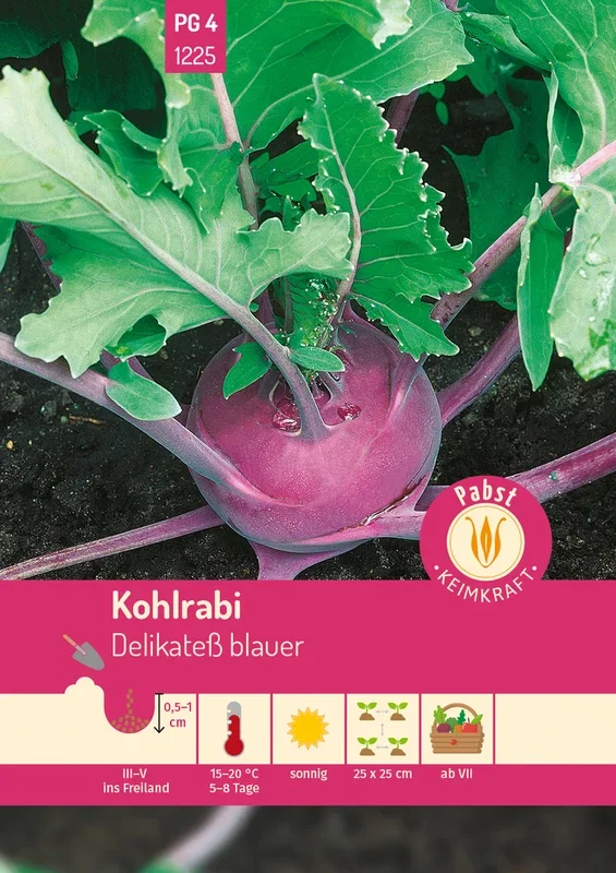 Pabst Keimkraft Kohlrabi Delikateß blauer