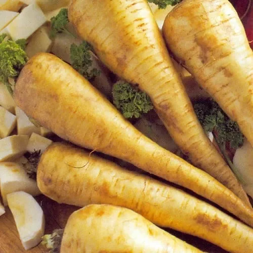 Parsnip Tender And True
