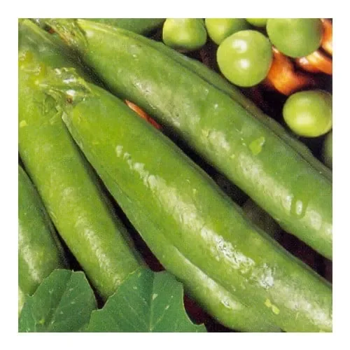 Pea Ambassador