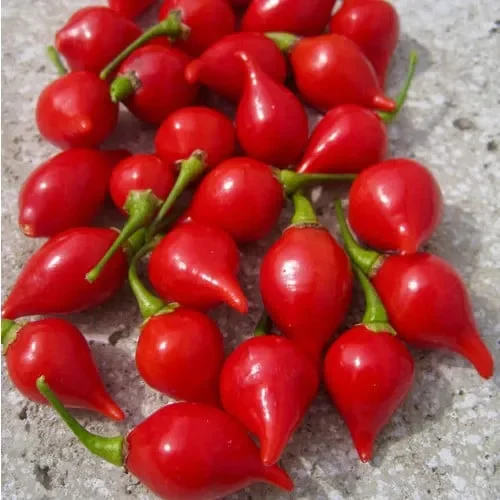 Pepper Button Red