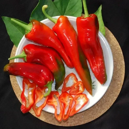 Pepper Georgia Flame