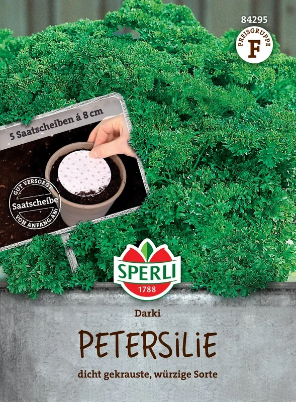 Petersilie Darki (Saatscheibe)
