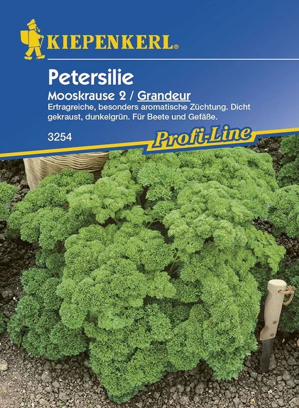 Petersilie Grandeur [MHD 01/2025]