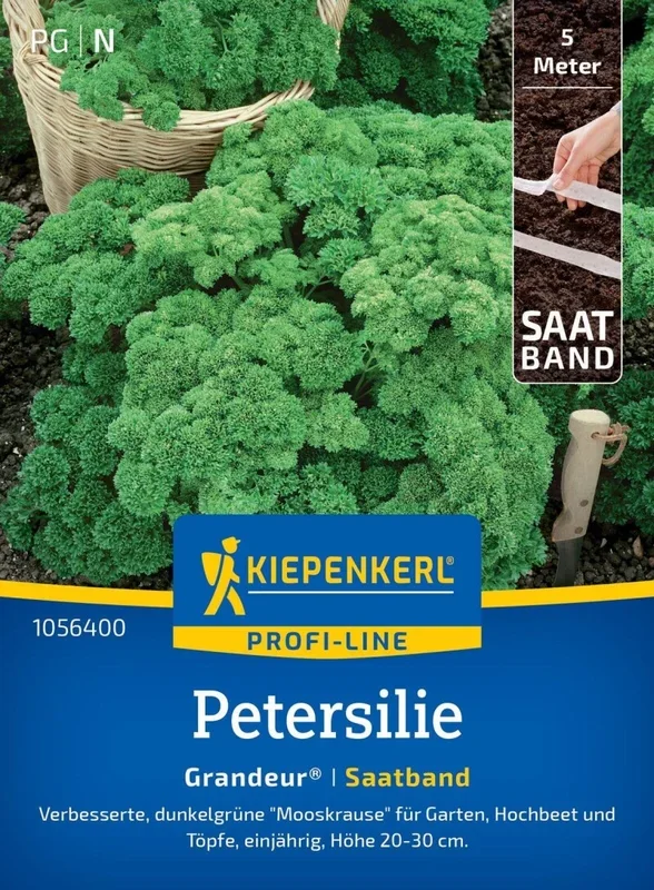 Petersilie Grandeur®, Saatband, verb. Mooskrause – für Garten, Hochbeet, Töpfe und Zimmerkultur
