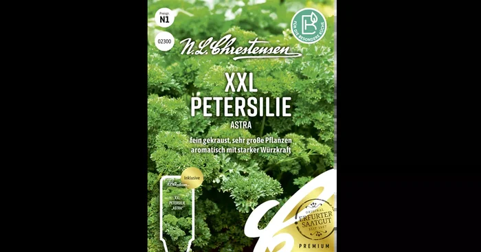 Petersiliensamen ‚Astra‘