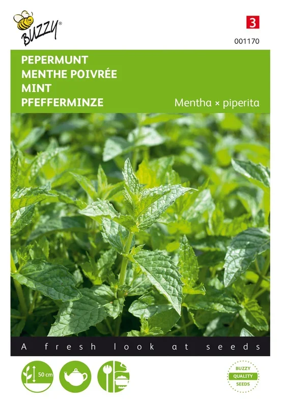 Pfefferminze [MHD 07/2024]