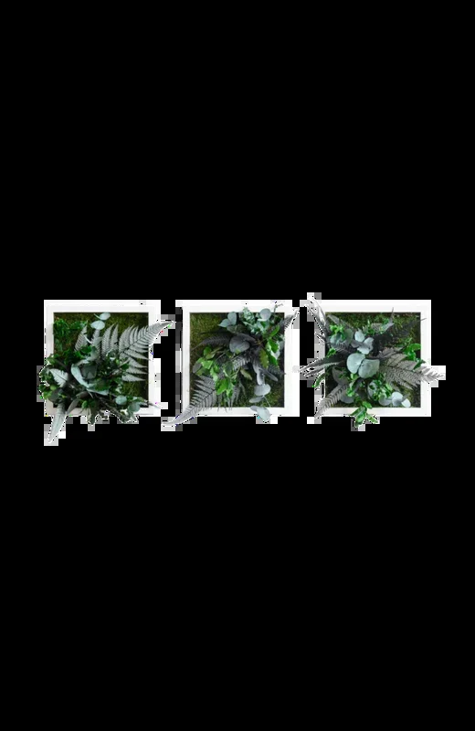 Pflanzenbild im Dschungeldesign 3er Set