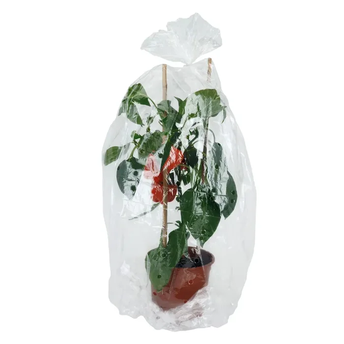 Pflanzenschutzfolie, 41 x 500 cm Bestellnummer 8820225
