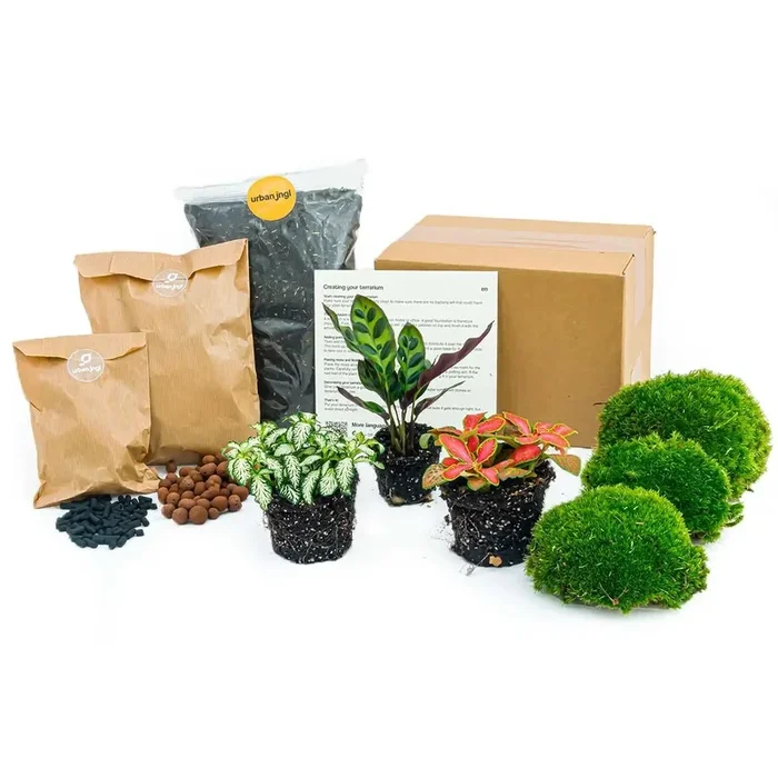 Pflanzenterrarium – Pflanzen und Zubehör für Terrarien