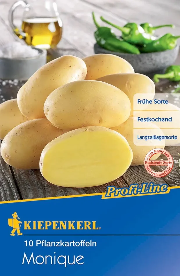 Pflanzkartoffel Monique, 10 Stück