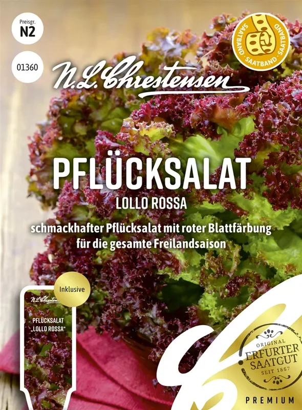 Pflücksalatsamen ‚Lollo rosso‘