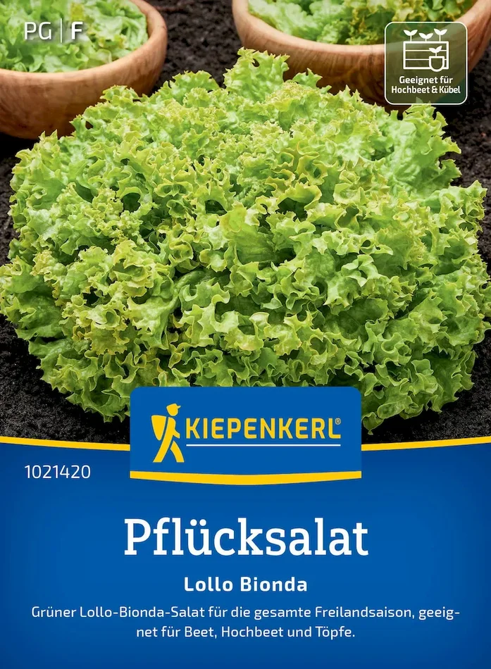 Pflücksalatsamen Lollo Bionda