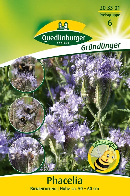 Phacelia – Bienenfreund (50 g)