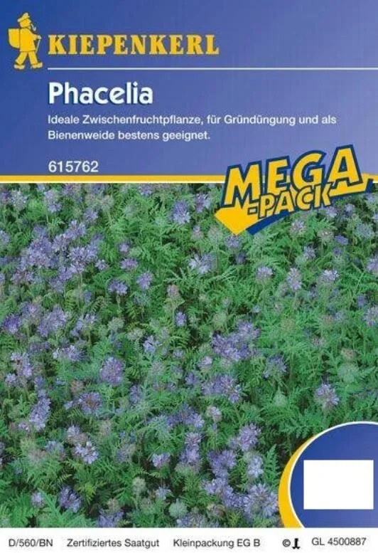Phacelia Bienenweide Gründünger 50g – 2kg, für 15 – 500 m², Insektenmagnet