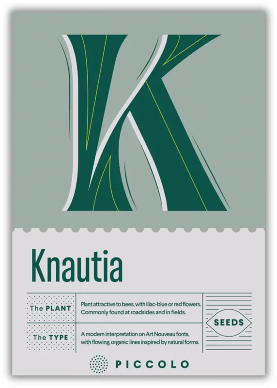 Piccolo Seeds K – Knautia – Acker-Witwenblume