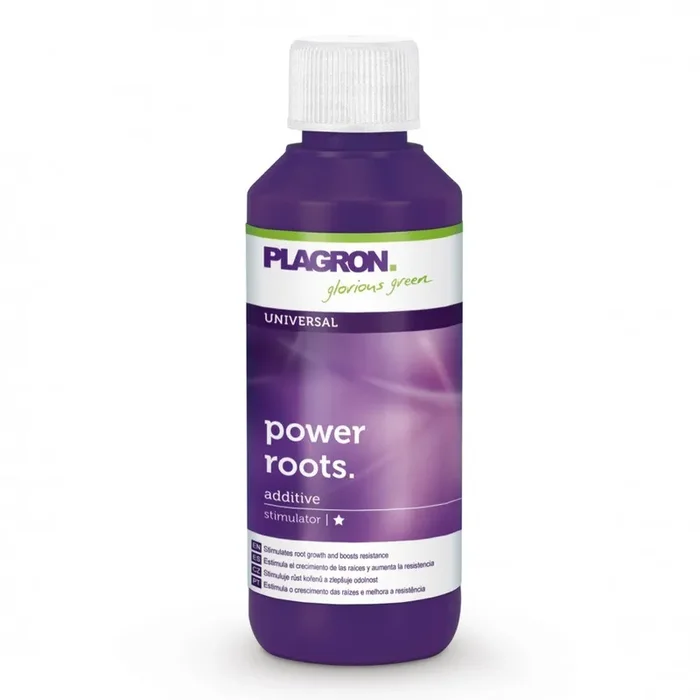 Plagron Power Roots 100 ml