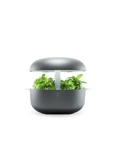 Plantui 6 Smart Garden Grigio