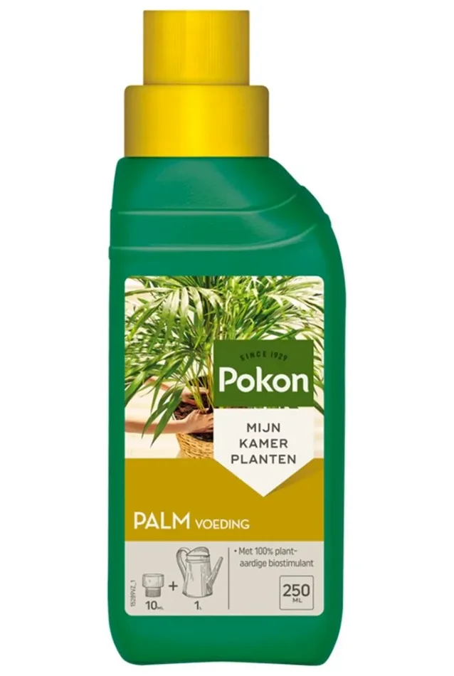 Pokon Palmendünger – 250 mL