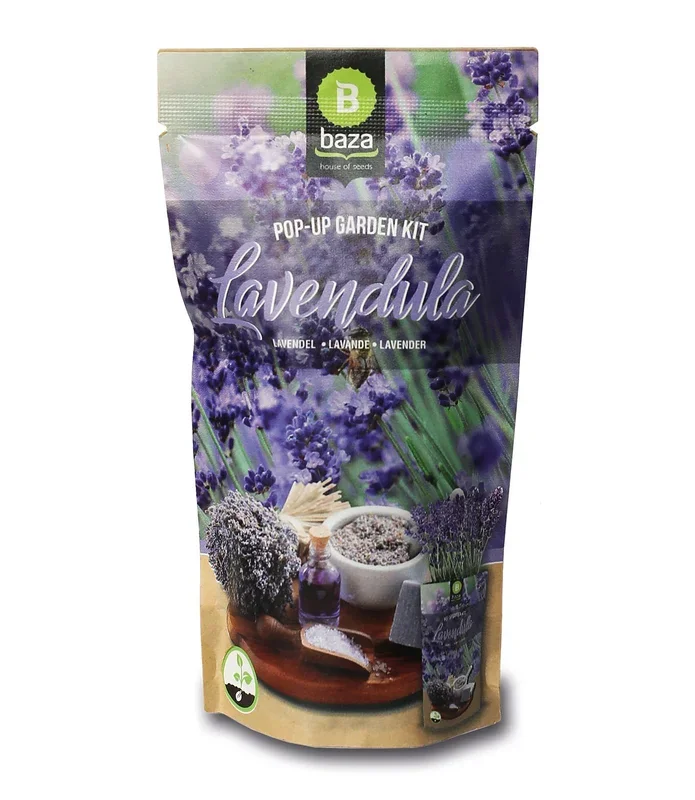 Pop-up Garden Lavendel