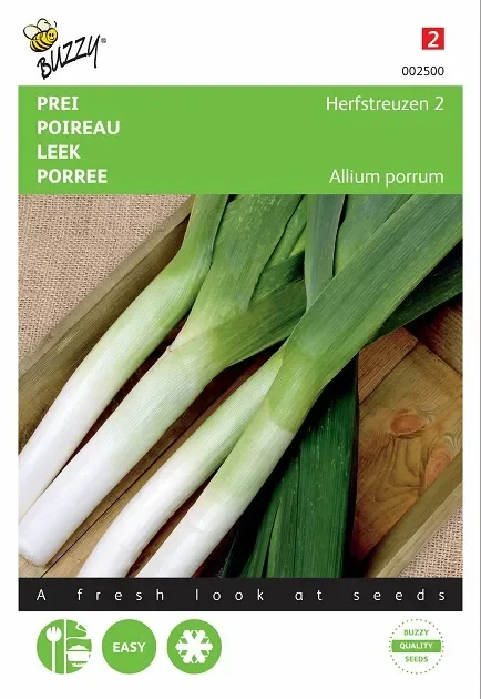 Porree Herbstriesen