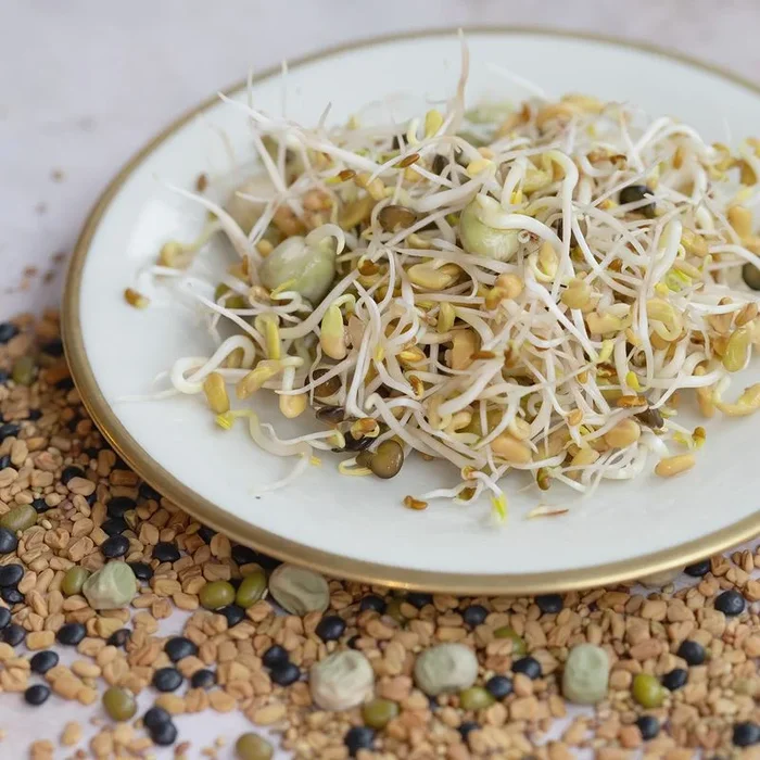 Power Sprouts Mix (Sprossen)