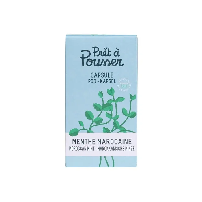 Prêt à pousser – Marokkanische Minzkapsel