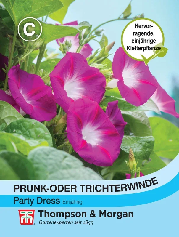 Prunk- oder Trichterwinde Party Dress [MHD 12/2023]