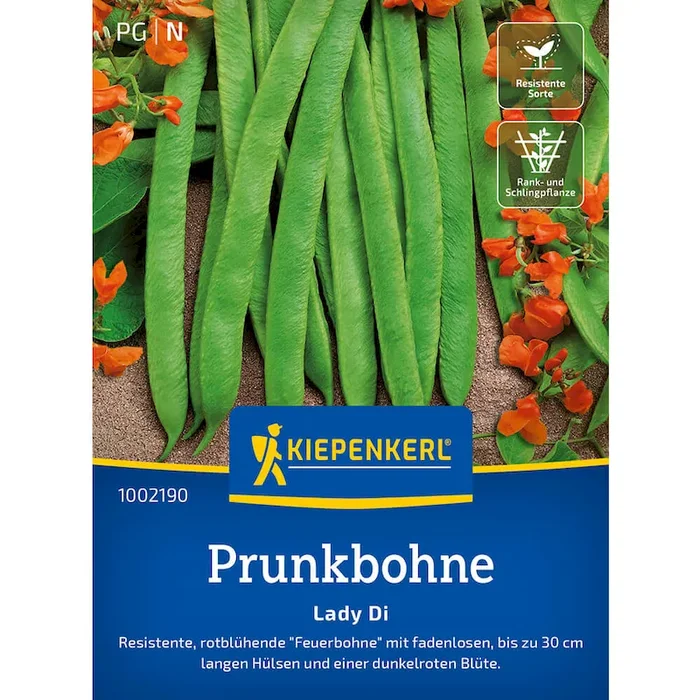 Prunkbohnen ‚Lady Di‘ Phaseolus coccineus – Bestellnummer 9942985