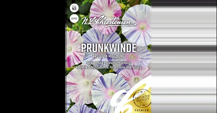 Prunkwinde Arlequin Mischung