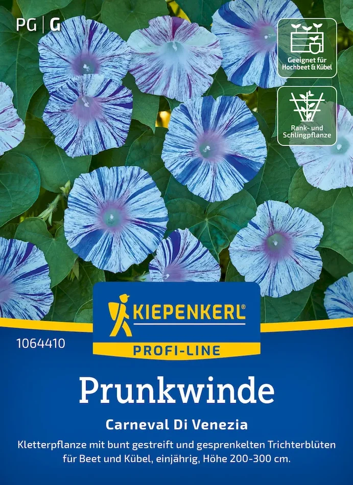 Prunkwindensamen Carneval Di Venezia