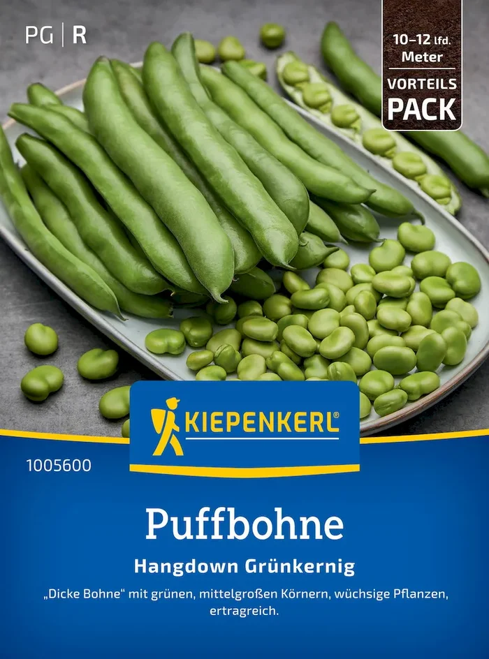Puffbohnensamen Hangdown Grünkernig, Vorteilspackung