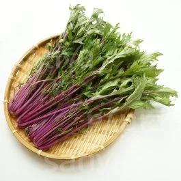 Purple Mizuna – Asiasalat