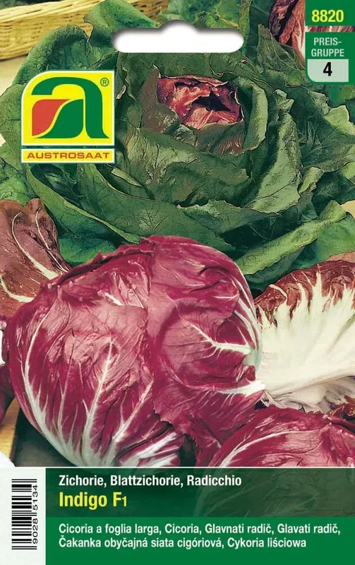 Radicchio Indigo F1