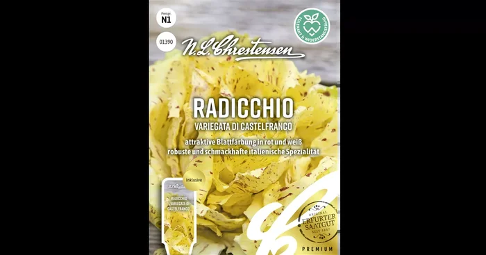 Radicchiosamen ‚Variegata di Castelfranco‘