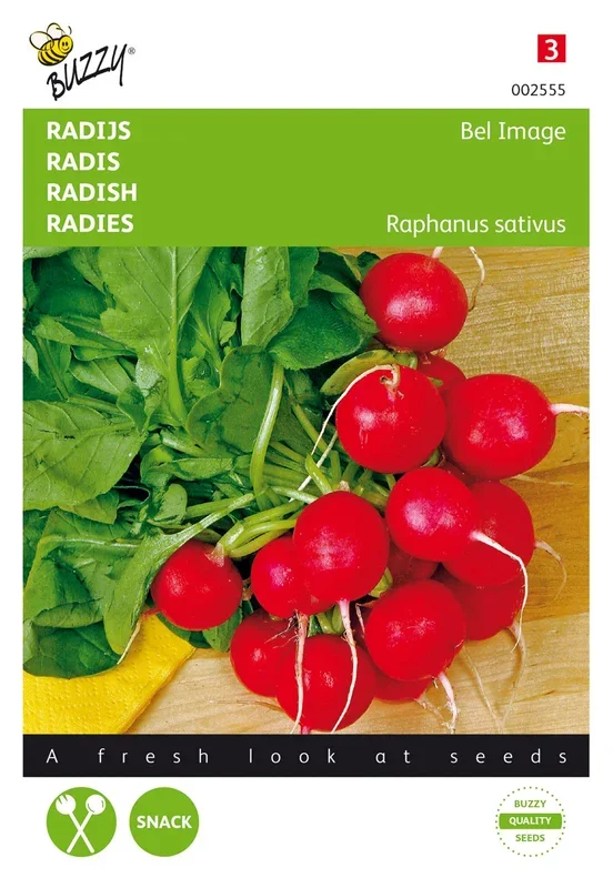 Radies Bel Image [MHD 07/2024]