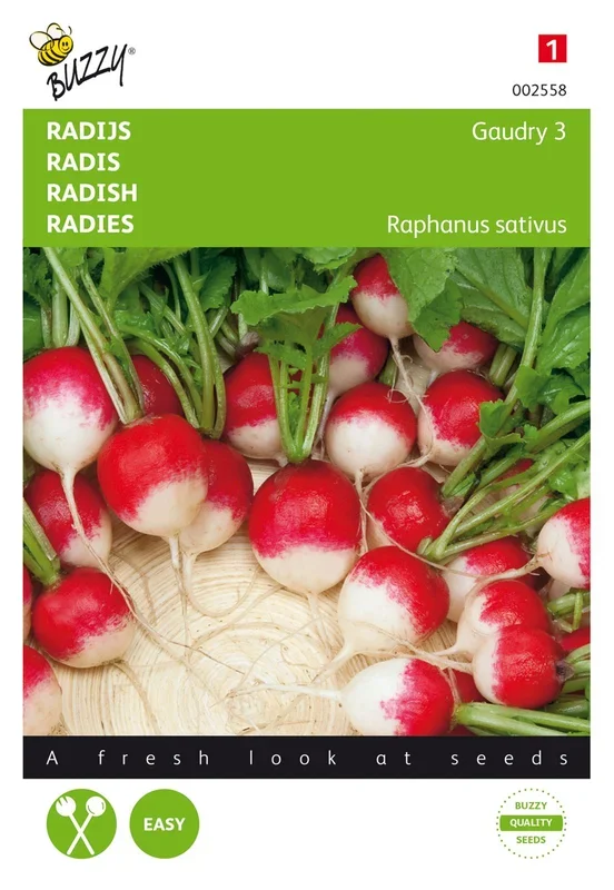 Radies Gaudry 3