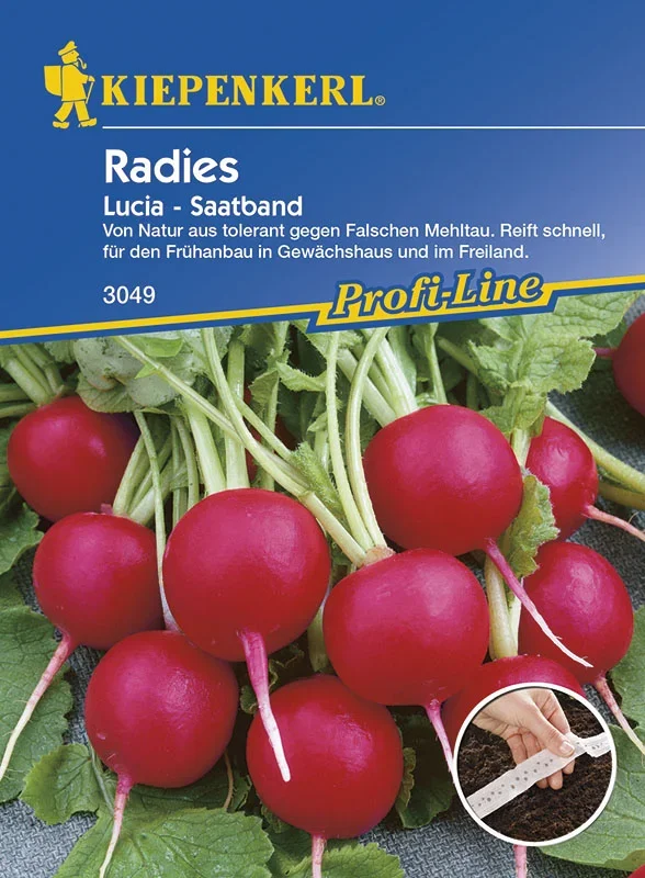 Radies Lucia (Saatband) [MHD 01/2024]