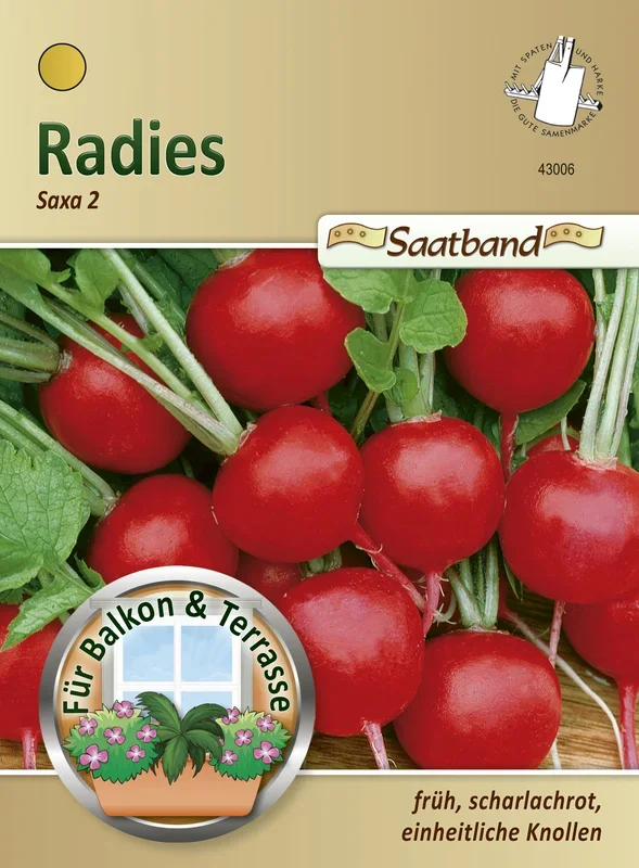 Radies Saxa 2 (Saatband)